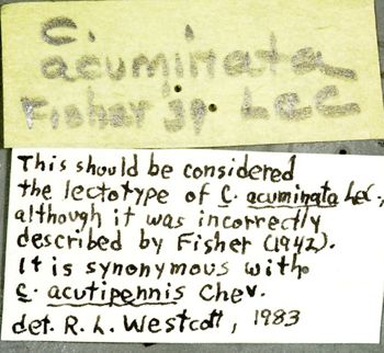 Media type: image;   Entomology 3763 Aspect: labels 3
